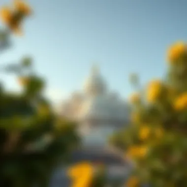 Magnificent 알파쿼크에 대한 심층 분석 Magnificent 알파쿼크에 대한 심층 분석
