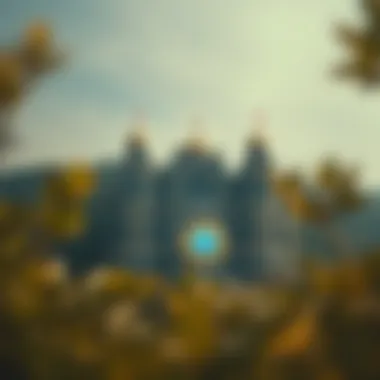 Magnificent 비트코인 가격 변동 요인 및 전망 Magnificent 비트코인 가격 변동 요인 및 전망