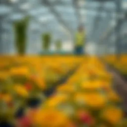 Advanced AI systems in agriculture