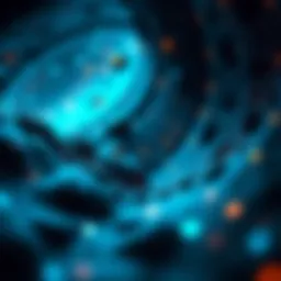Exploring the depths of the XRP blockchain