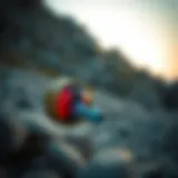 리플과 트위터: 암호화폐 생태계에서의 연결 Introduction